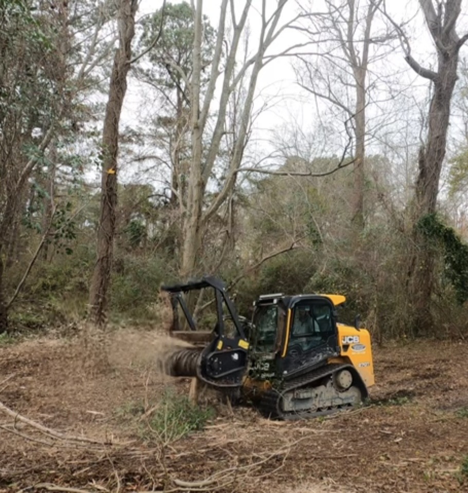 David Bigi - Earth Pro Land Clearing